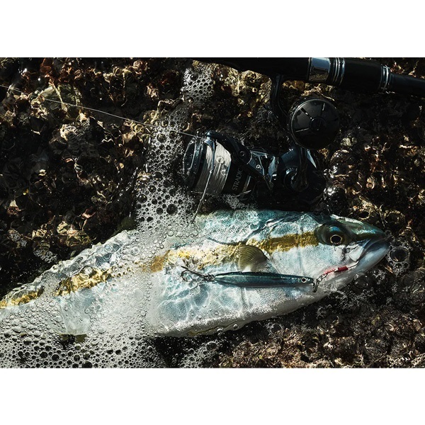 24ストラディック　SW